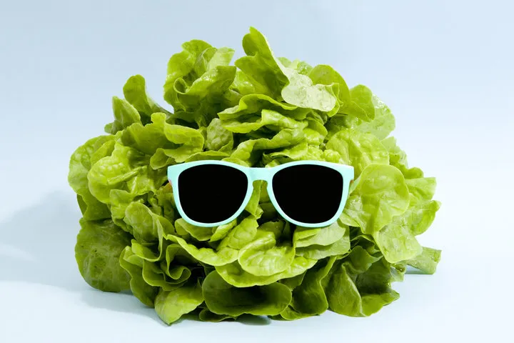 A head of lettuce wearing sunglasses